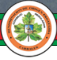 Cabrales cheese DOP seal (from QuesoCabrales.org)
