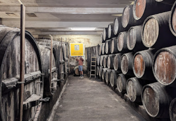 Casks at Quinta do Vallado