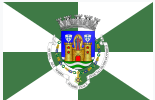 Porto flag