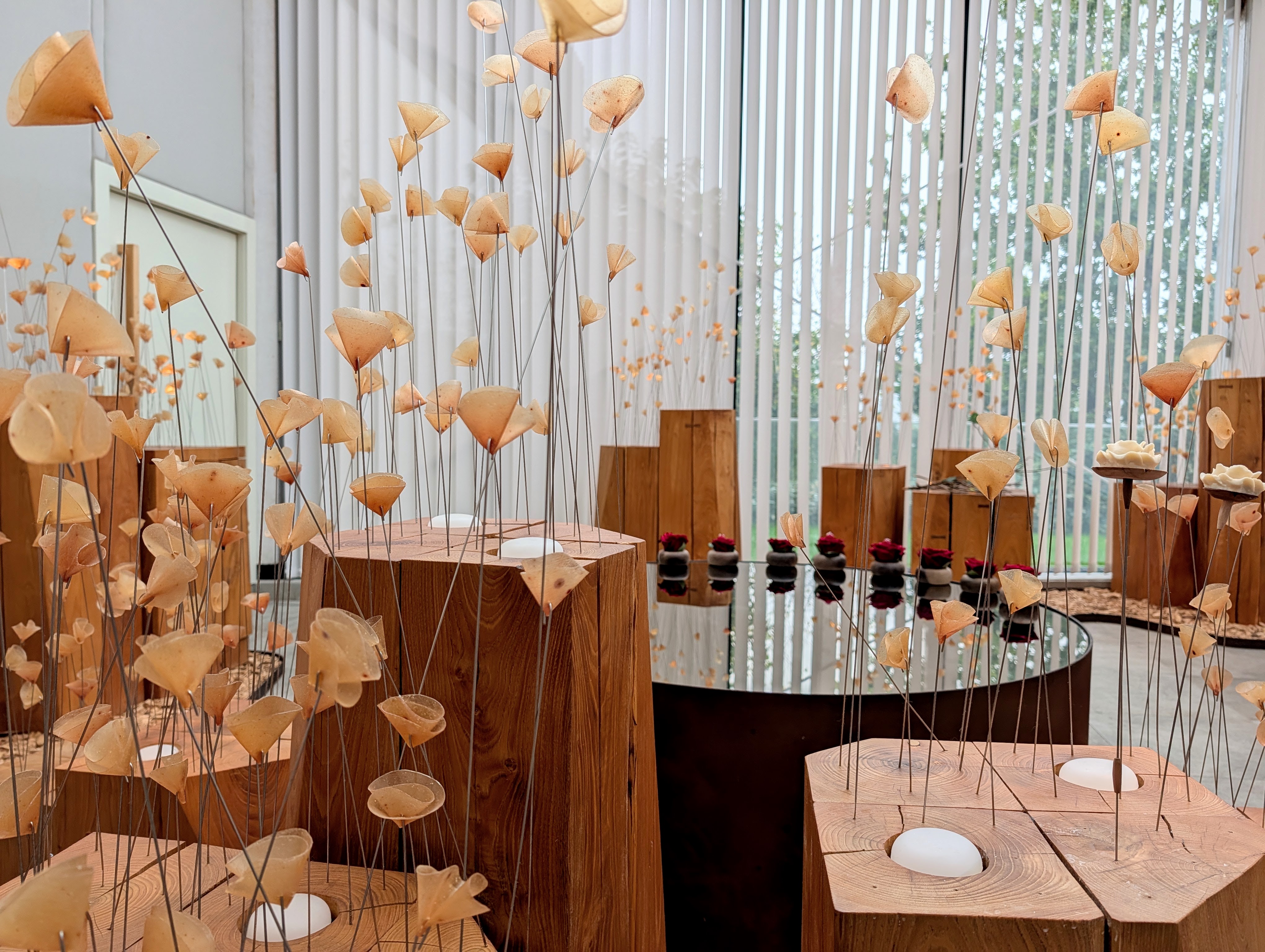 The beautiful garden room filled with citrus-rind flowers