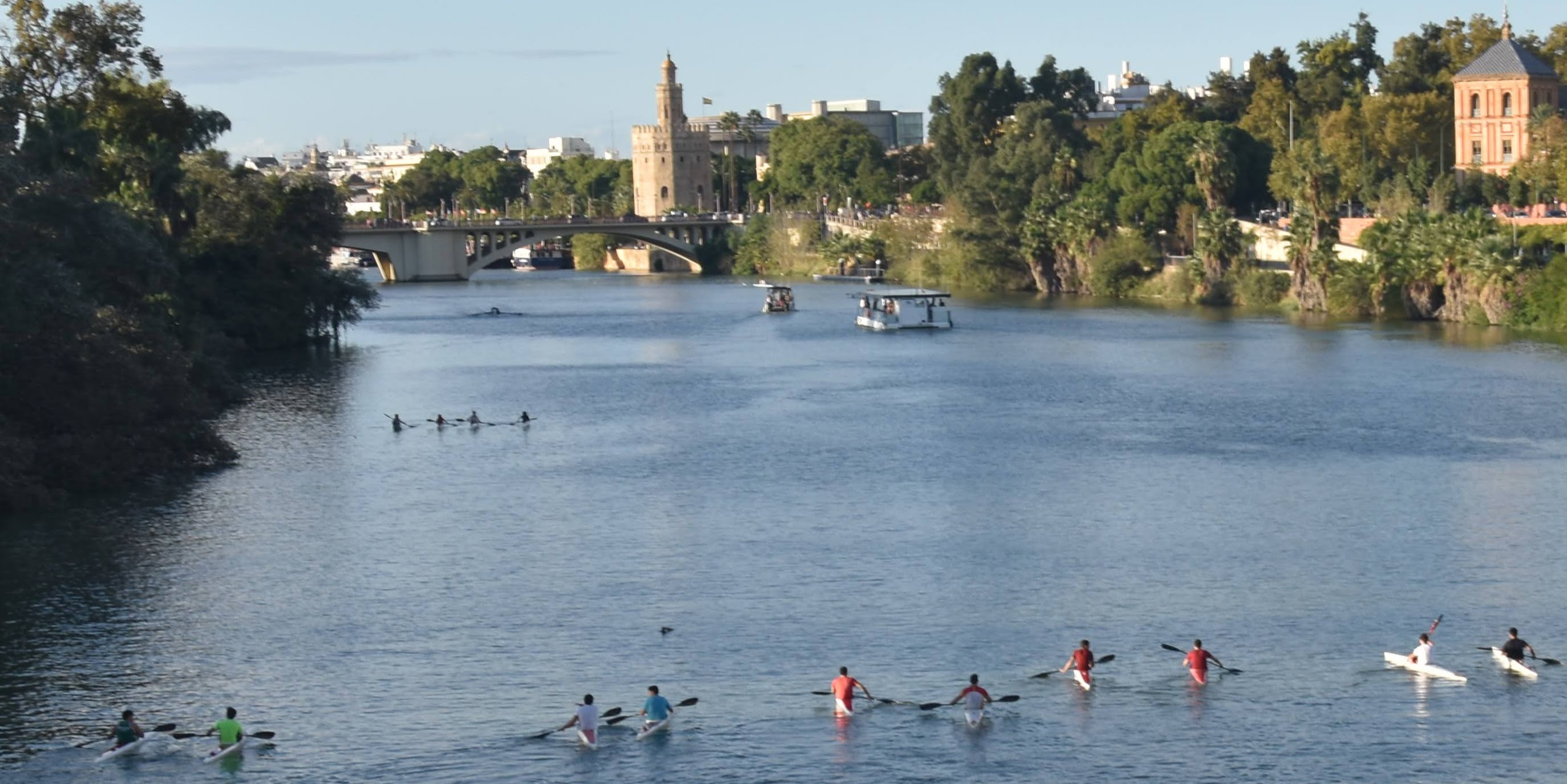 Paddlers in Guadalquiver River, with Puete de San Telmo and Torre de Oro in distance