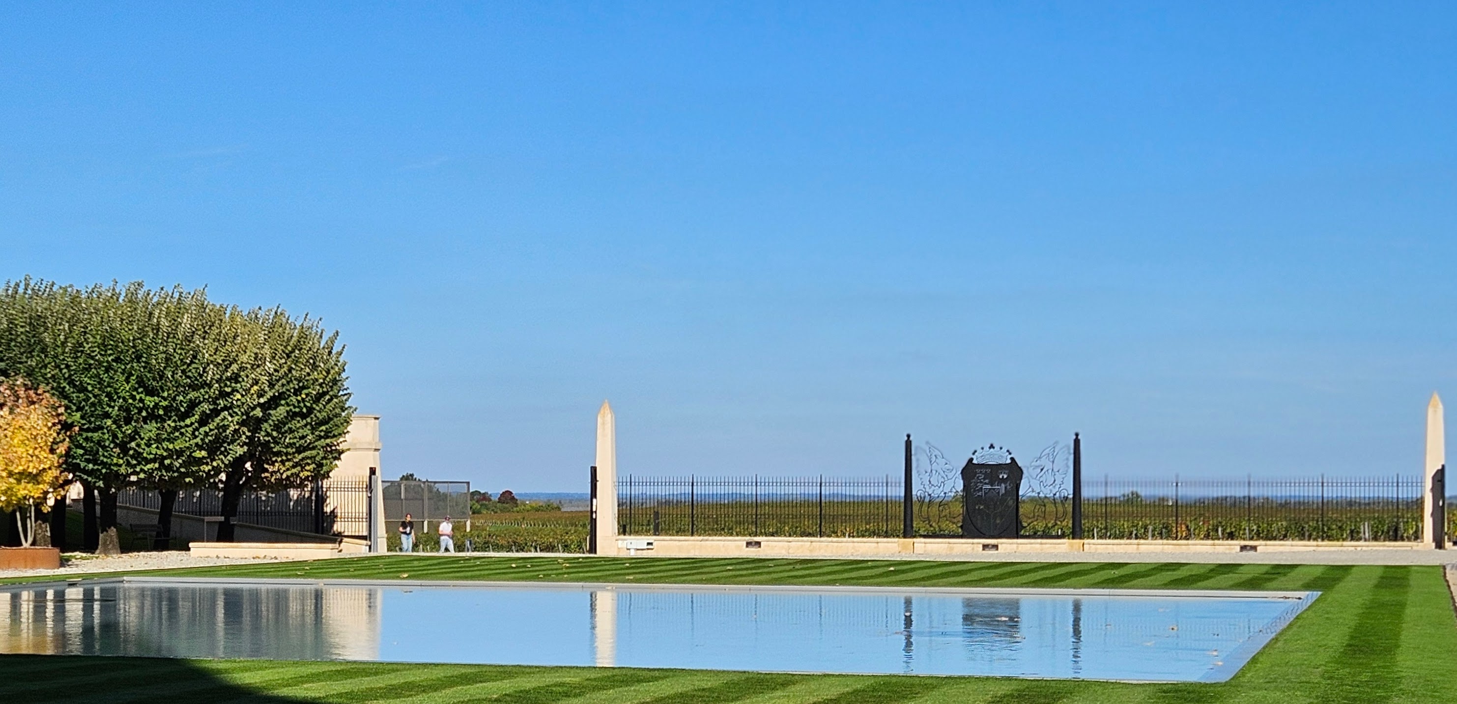 Serene reflecting pool