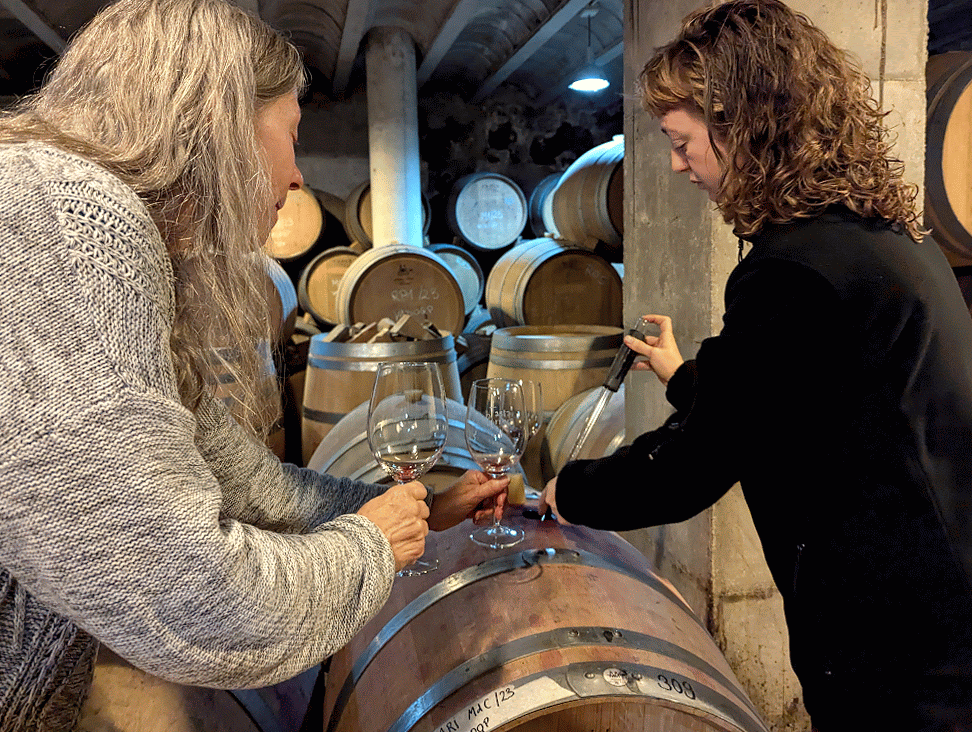 Barrel tasting at Celler de L'Encastell