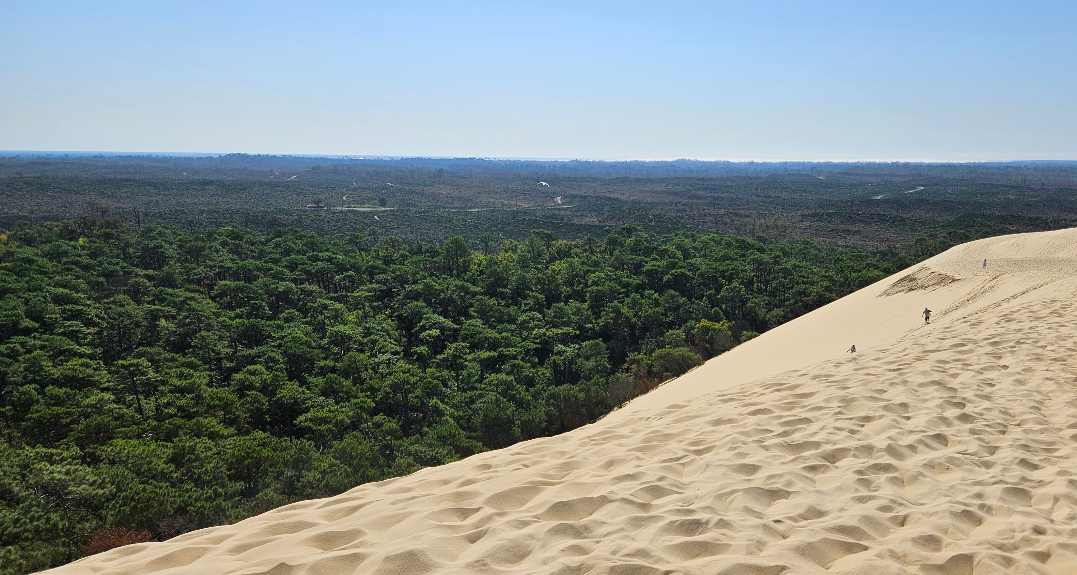 Land-ward side of the Dune of Pilat