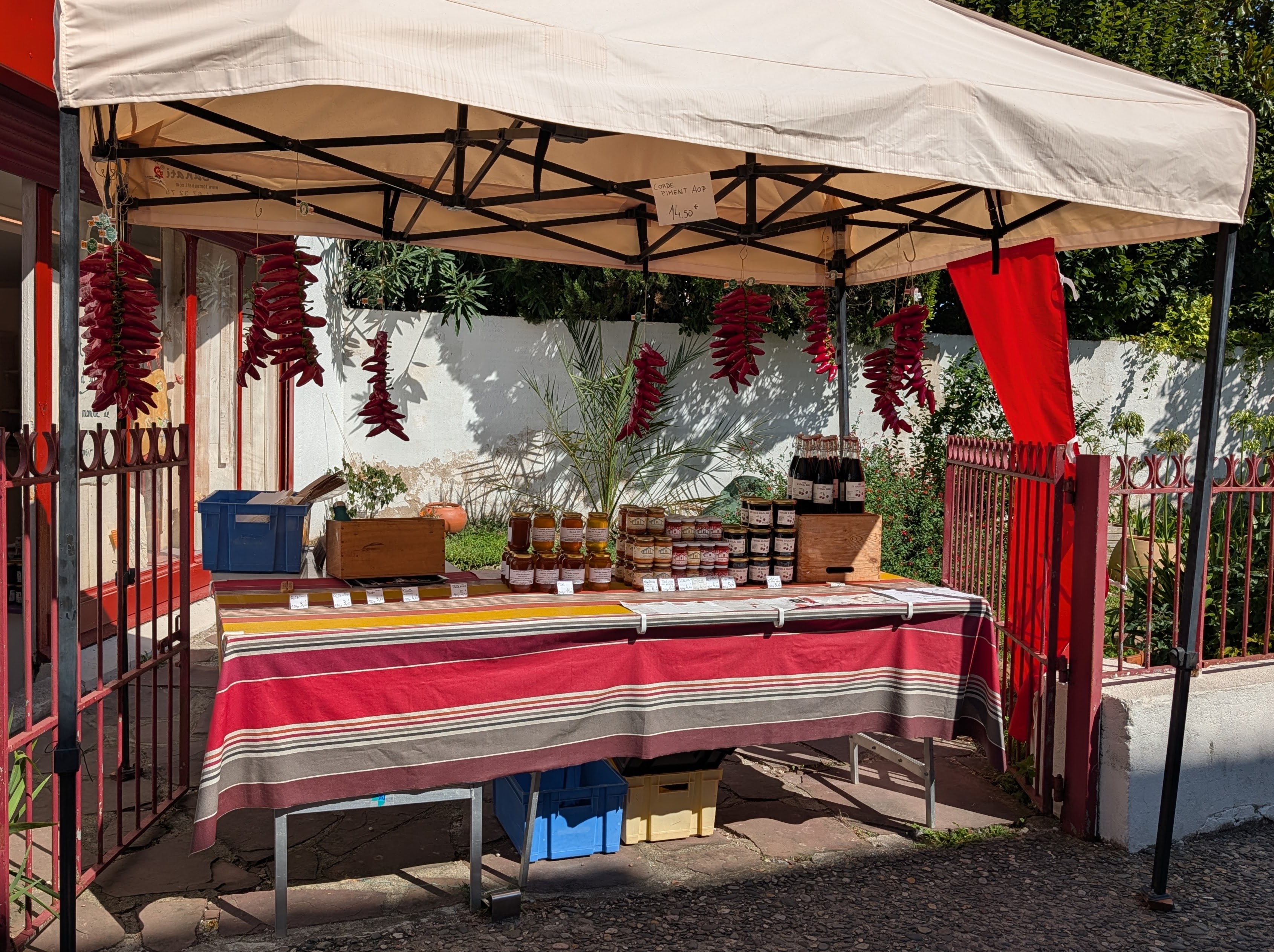 Table of peppers and more for sale