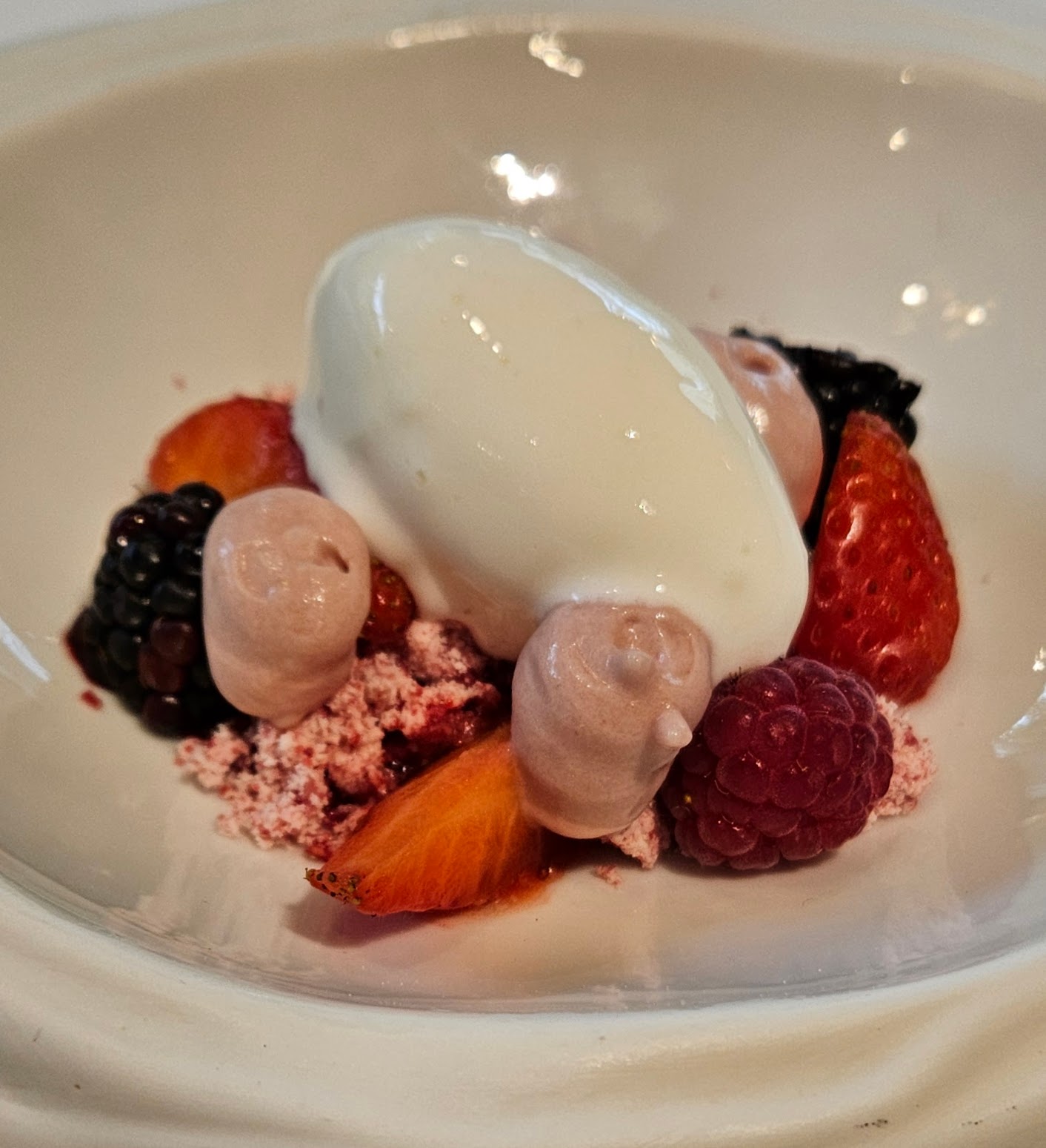 Yogurt ice cream with fruits