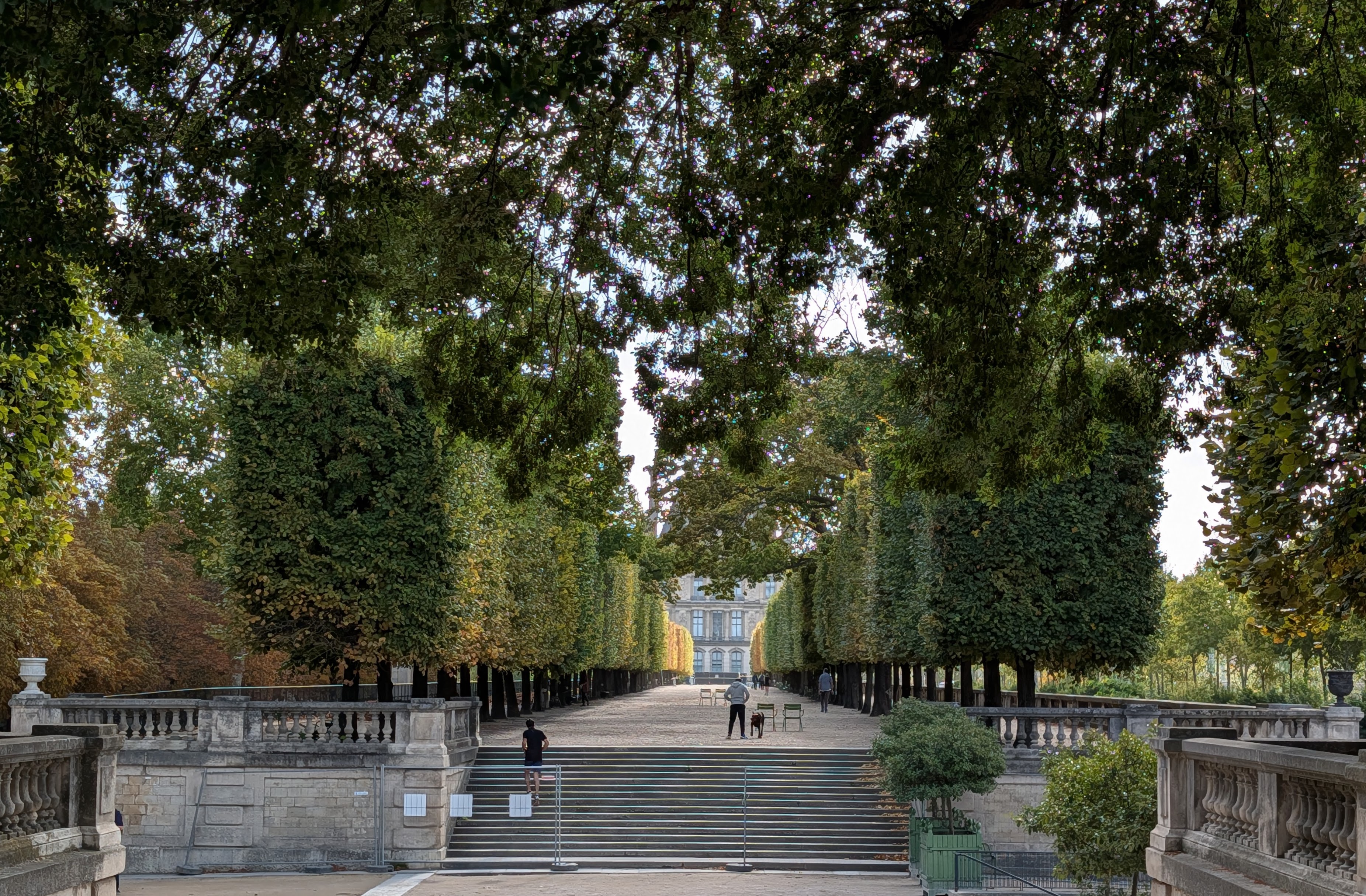 Stairs and treed walk in Jardin des Tuileries