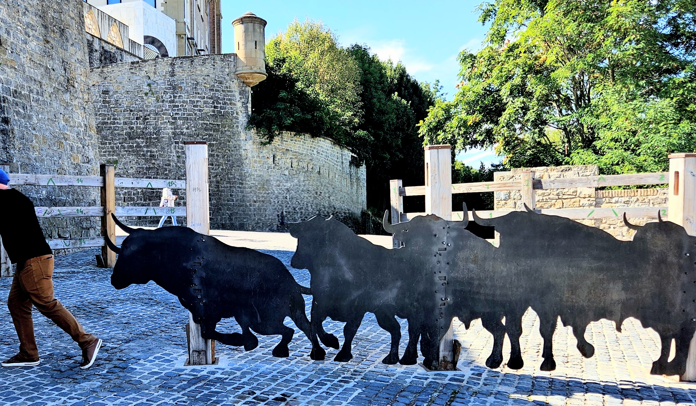 Comically running from the bulls