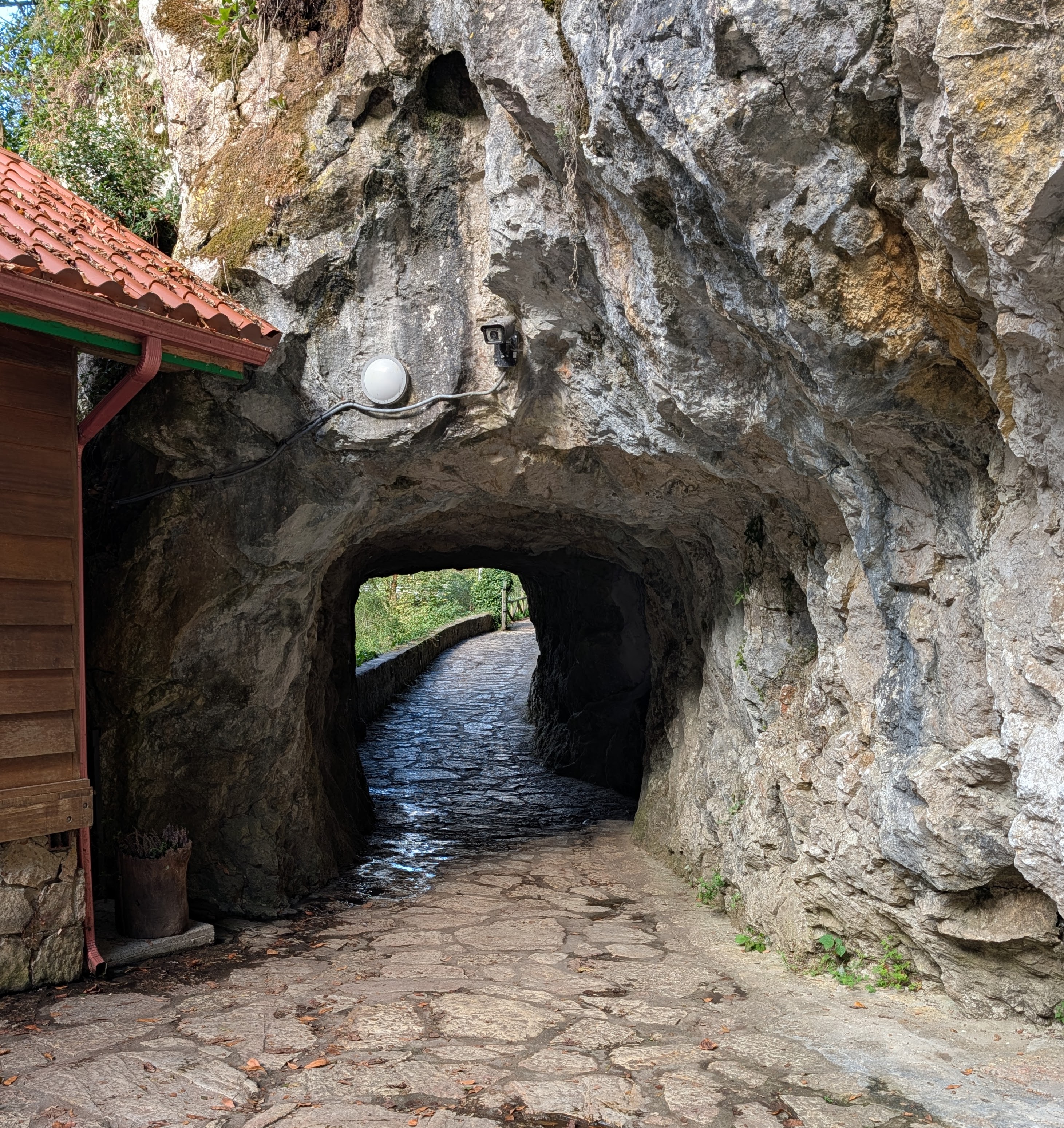 A cave (tunnel) on the way to the cheese cave