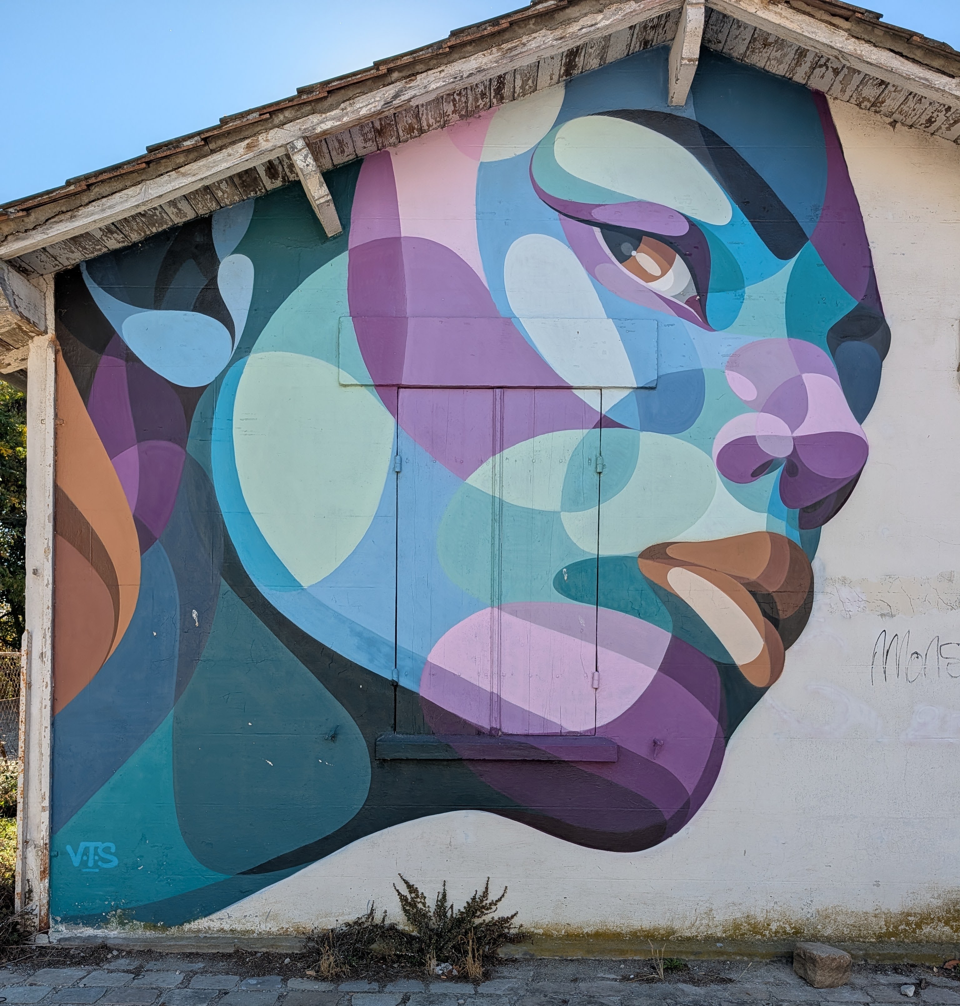 Street art face