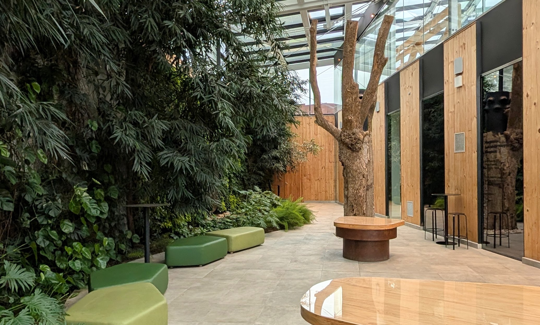 Forest room / foyer
