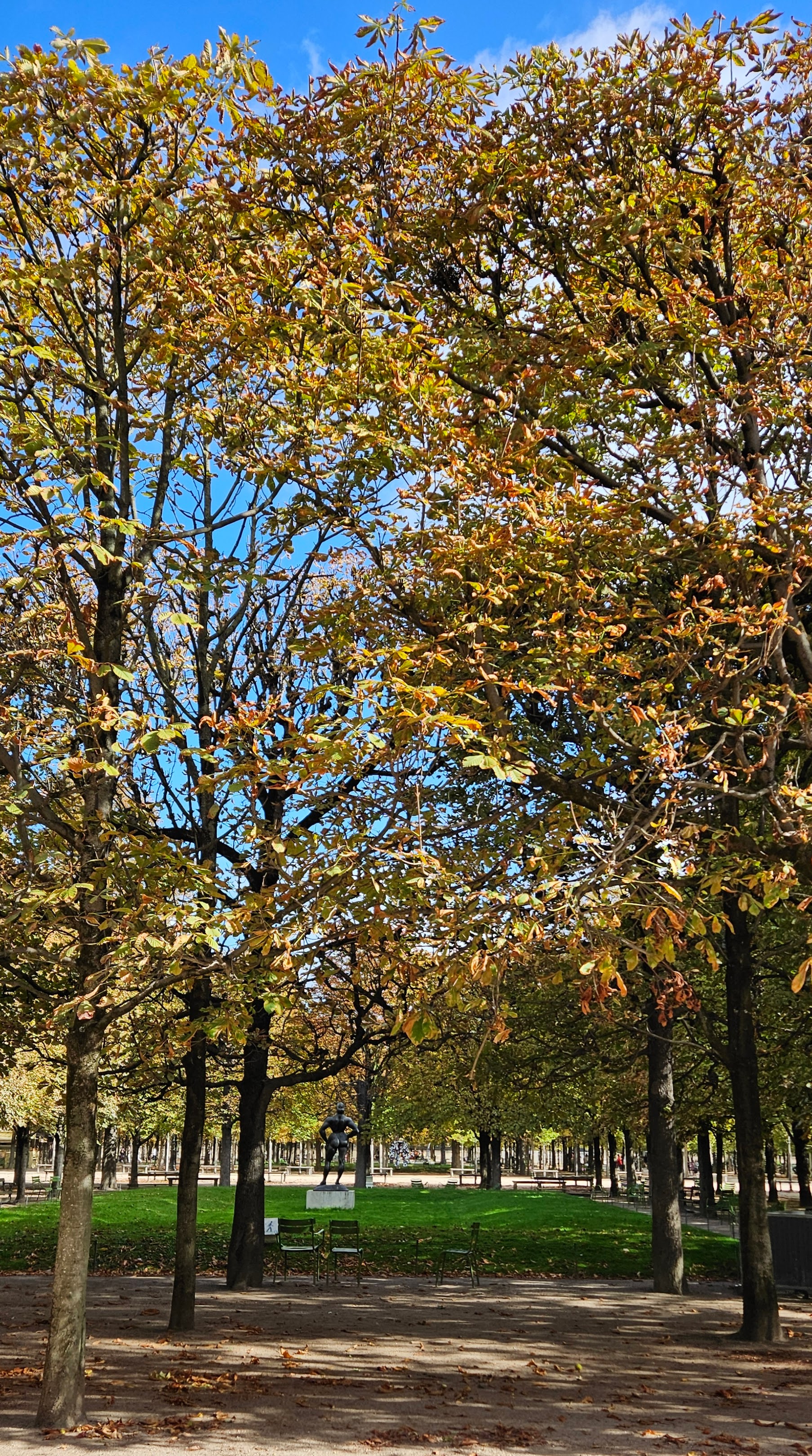 Forest with sculpture