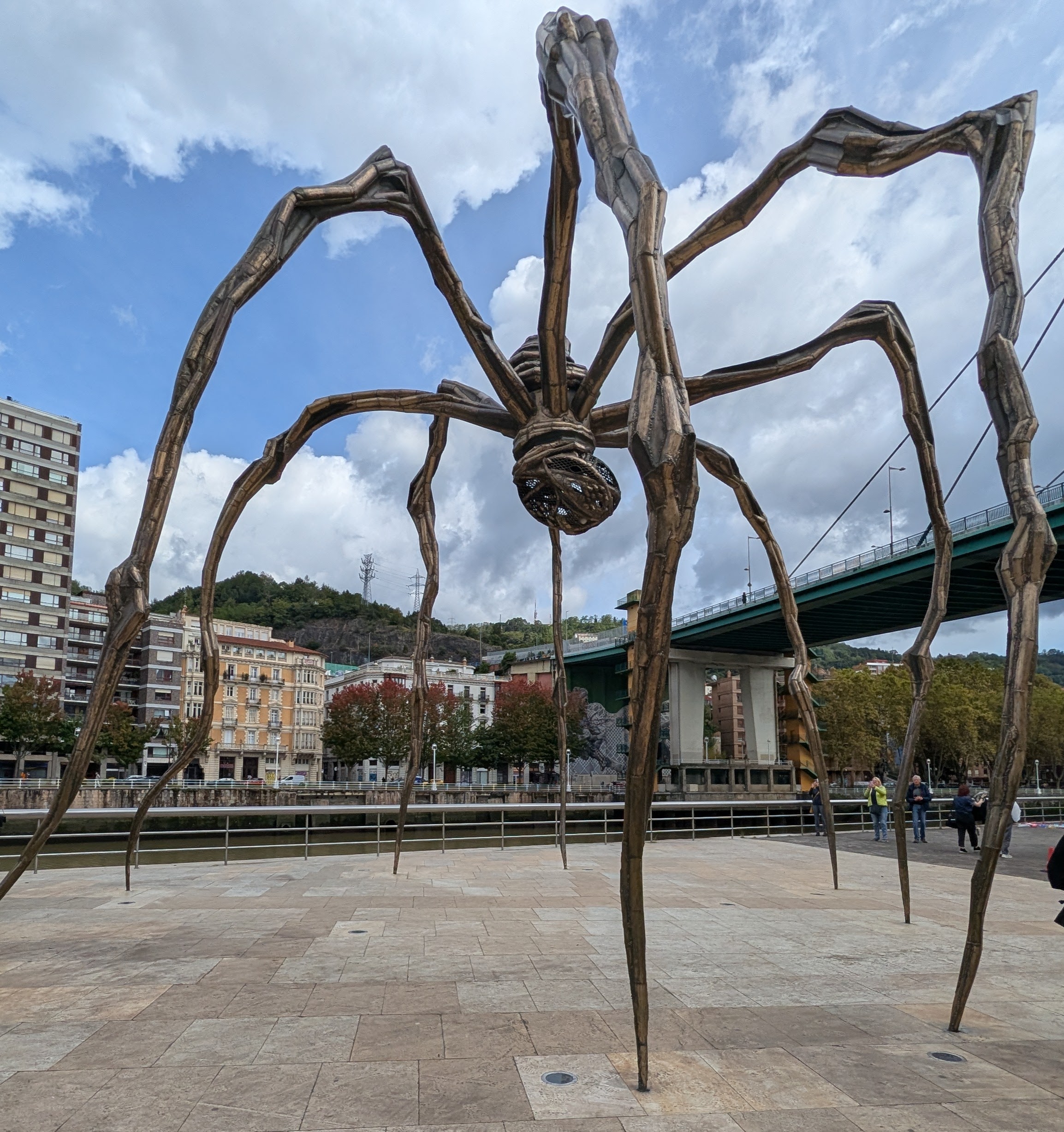 Sculpture: Louise Bourgeois' giant spider, Mamá