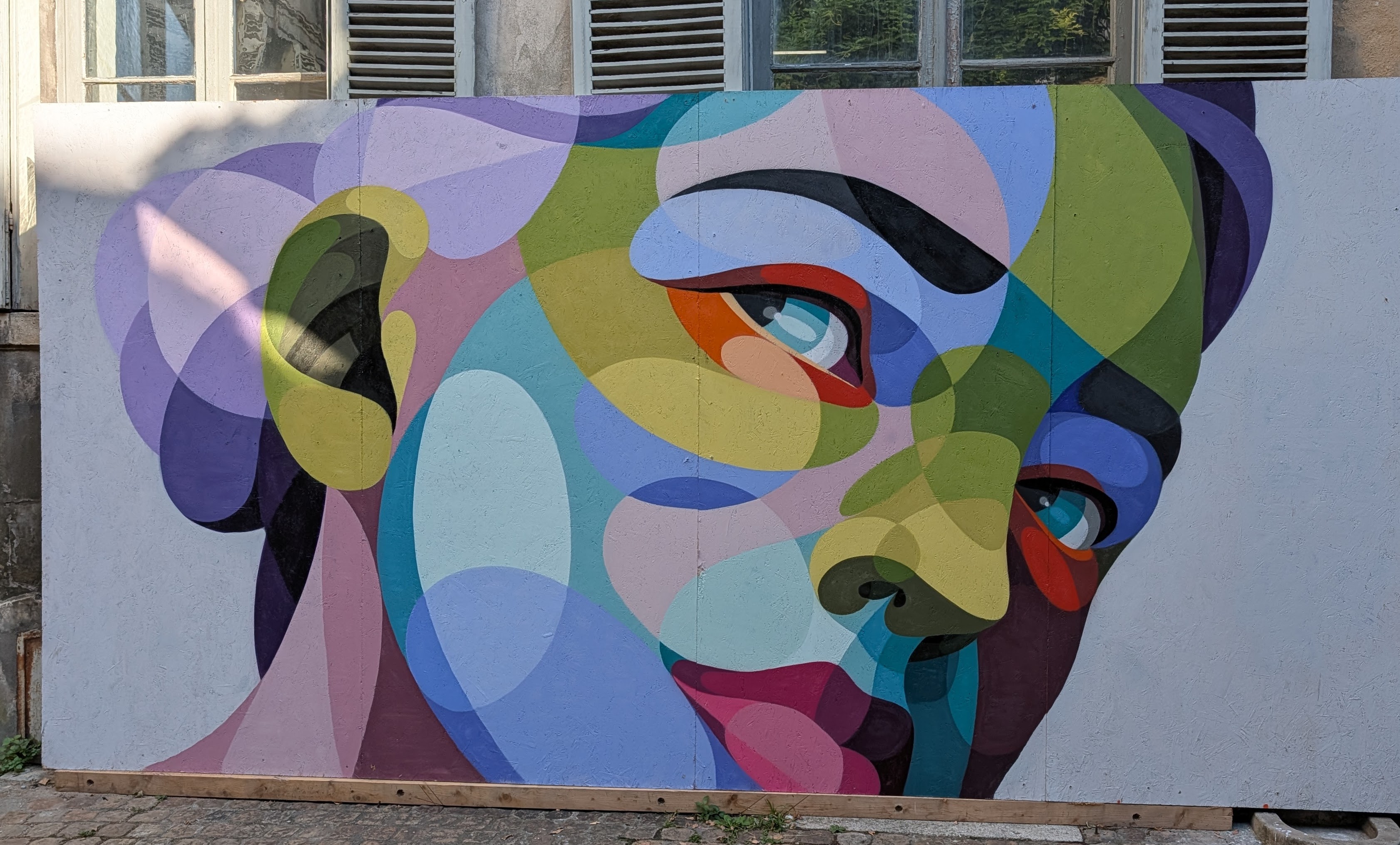 Street art face