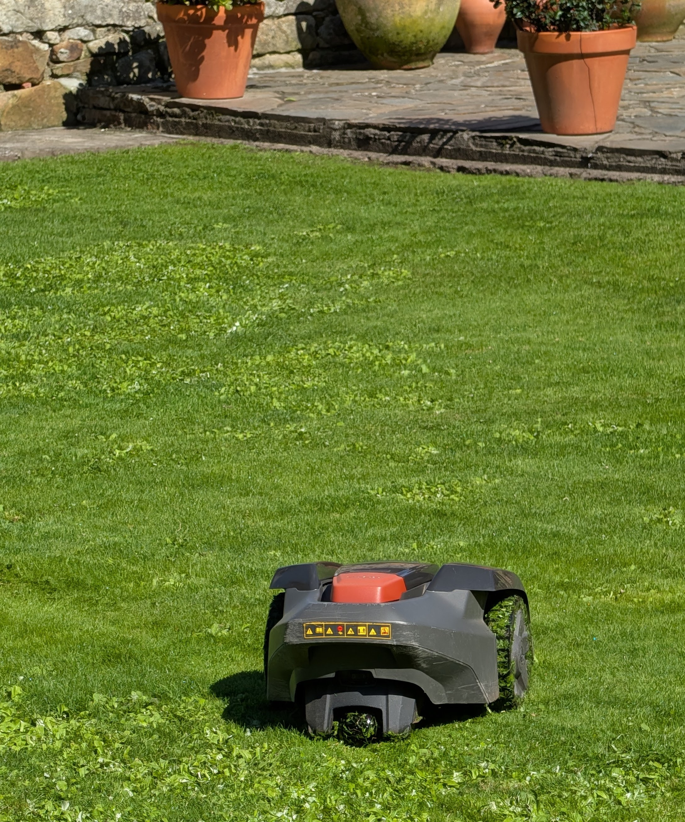 Robot lawnmower