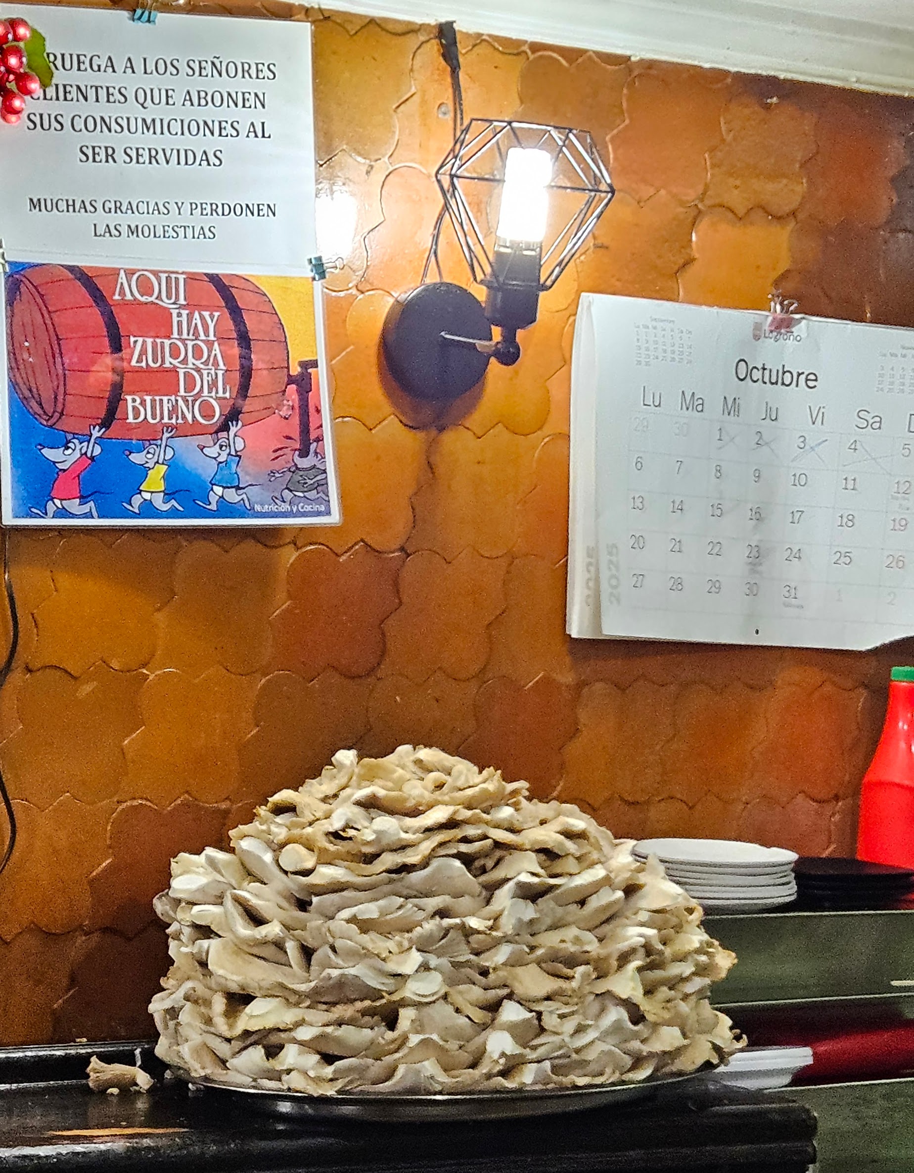 Pile of mushrooms at Bar CID