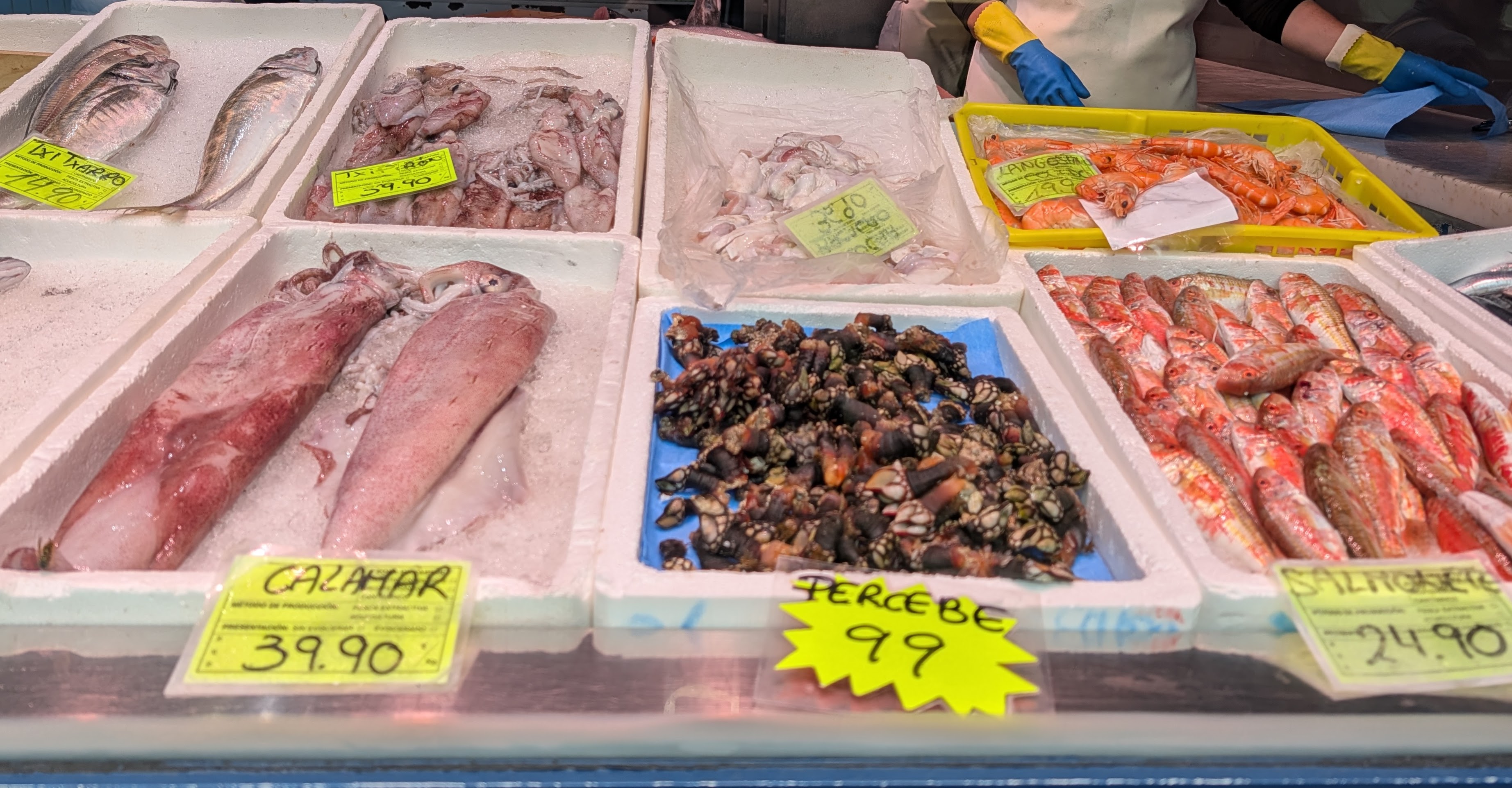 Seafood in window display