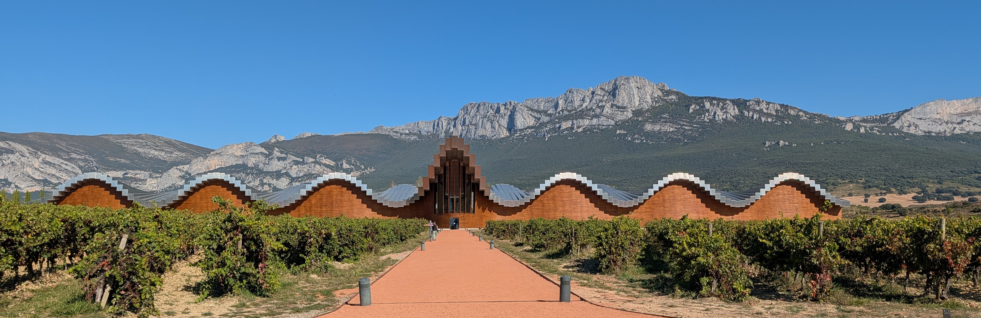 Dramatic roofline of Bodegas Ysios
