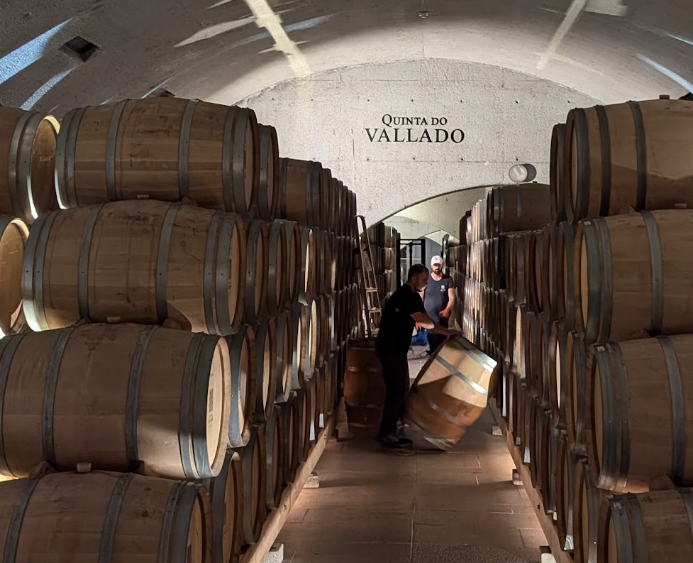 Casks at Quinta do Vallado