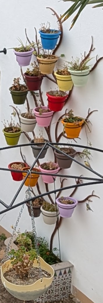 Colorful planters on an interior courtyard