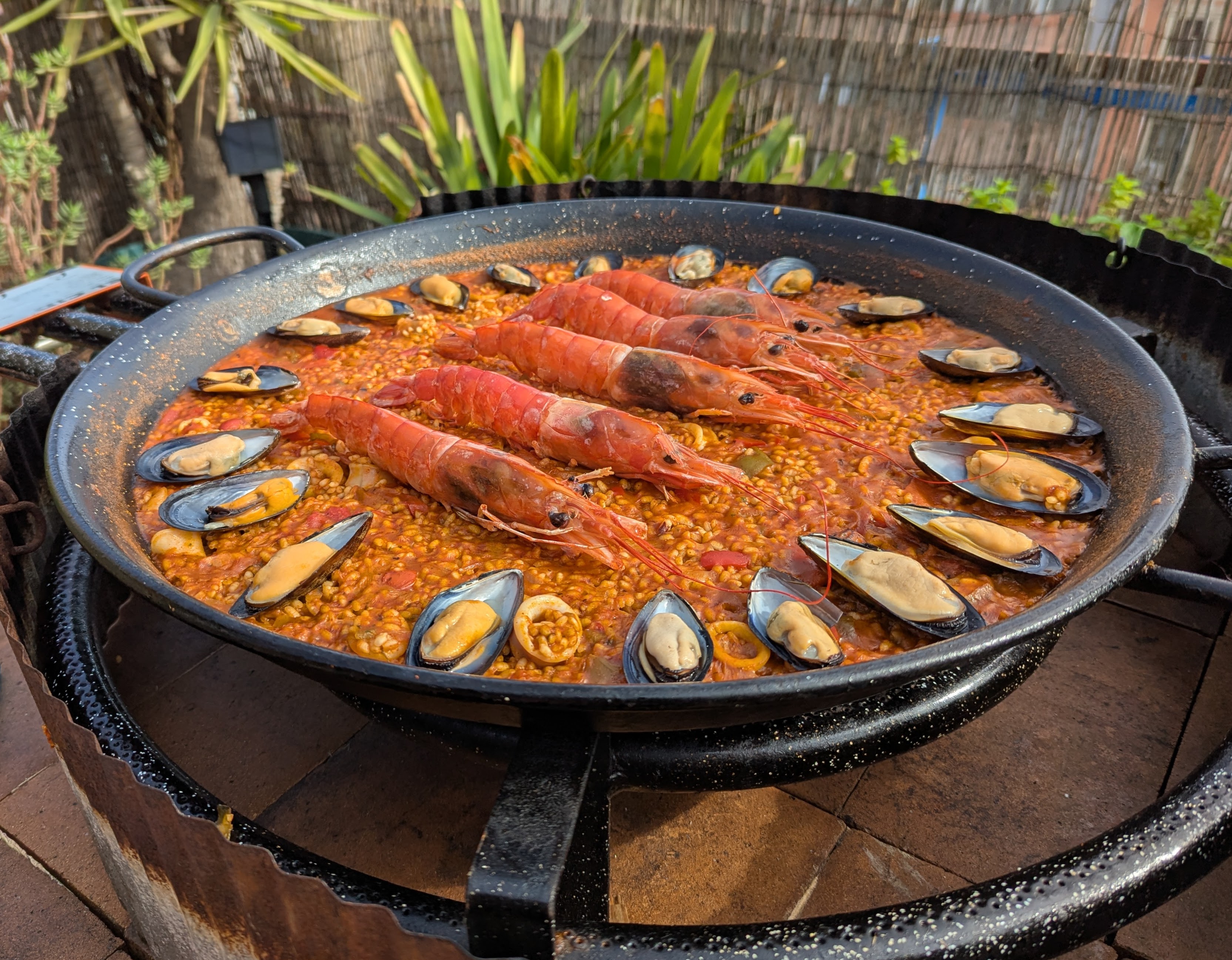Paella on big gas burner
